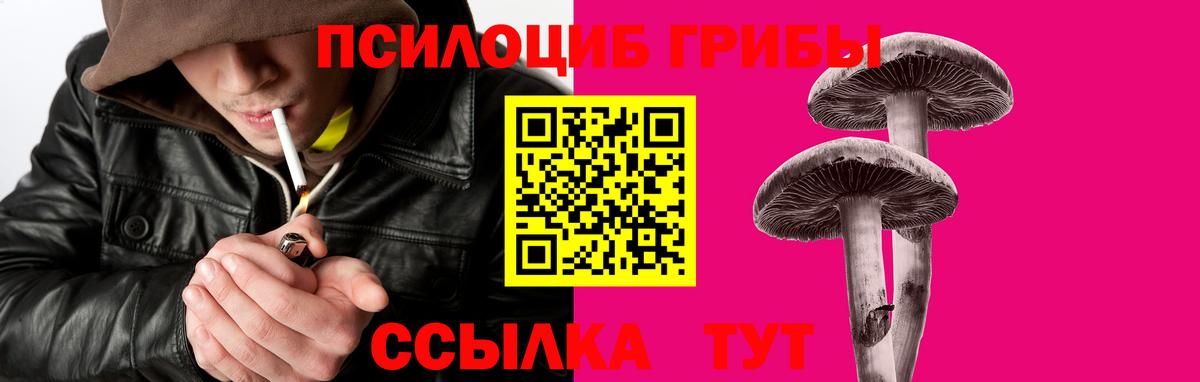 Ногинск  Галлюциногенные грибы Cubensis  Галлюциногенные грибы GOLDEN TEACHER  Вход с VPN 